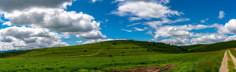 Fototapeta na wymiar Panoramic view, green hills , terraced agricultural fields near dirt road , blue sky with white clouds background.