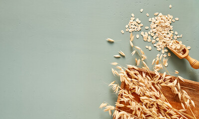 Oat flakes in wooden spoon and ears of oat on blue background. Flakes for oatmeal and granola.