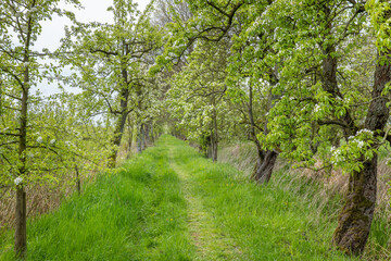 Fototapeta premium The area of the 