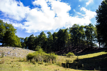 Campaegli montagna