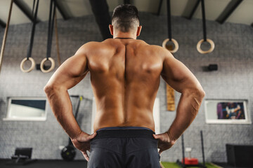 Naklejka na ściany i meble Naked muscular male back. A fitness man stands in the middle of the gym shirtless. A close-up of a muscular back from a man living a sporty life, a bare upper body. Fitness goal, no limits