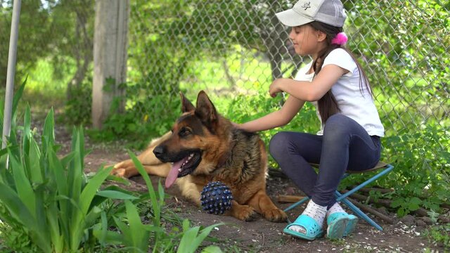 Cheerful little girl with a dog German shepherd