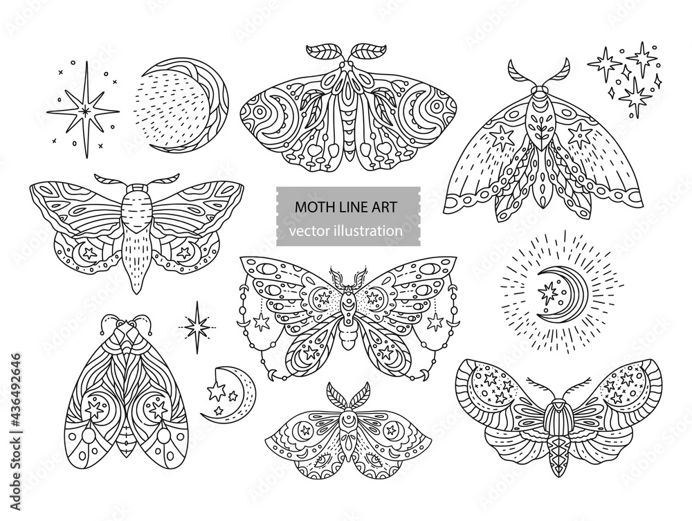 Wall mural boho butterfly line vector set. beautiful moth vector magic ornament, celestial element illustration