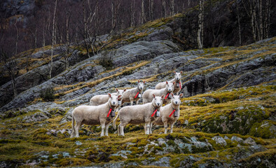 OLYMPUS DIGITAL CAMERA © Paulina