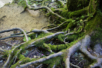 Laghetto San Benedetto