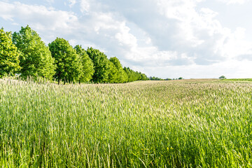 Dietlhofer See Weilheim in Oberbayern