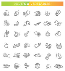 Fresh fruit and vegetables. Thin line flat design