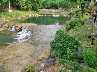 river in the forest