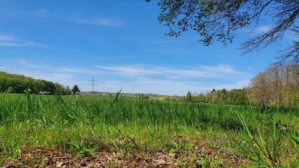 Obraz premium Green field and blue sky