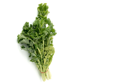 Bunch of fresh turnip tops , italian cime di rapa, isolated on white background copy space, label, card