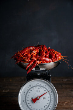 Crawfish on a kitchen scale