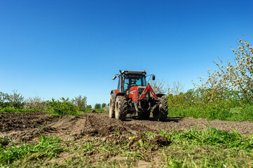 Obraz premium The farmer is ready to lay potatoes, late May, and early June
