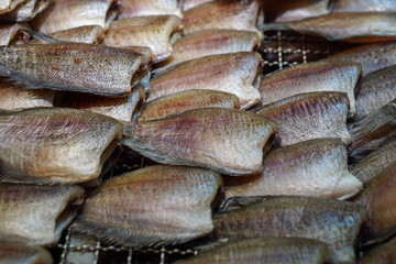 fresh fish on the market