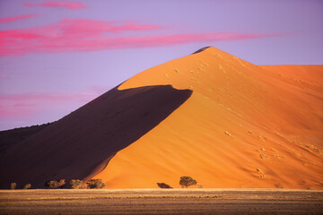 Fototapeta na wymiar Dune 45, a 170m high dune made from red sand, Sossusvlei, Namib-Naukluft National Park, Namibia