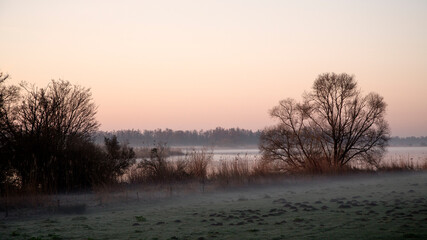Obraz na płótnie Canvas Foggy sunrise in Dutch Biesbosch National Park