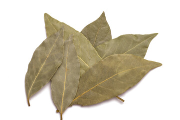 Bay leaves isolated on white background close up