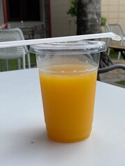 glass of  fresh orange  in orlando Florida 