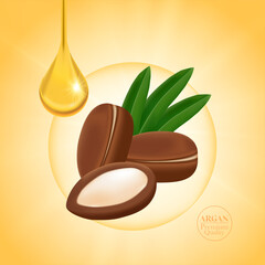 Argan extract for hair product vector illustration.