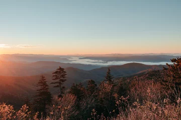 Fotobehang Chocoladebruin Landscape layers of the Smoky Mountains as the morning sunlight leaks in creating glowing peaks and foliage. Taken from Clingmans Dome, Great Smoky Mountains National Park, North Carolina, USA.   © Bella B Photography