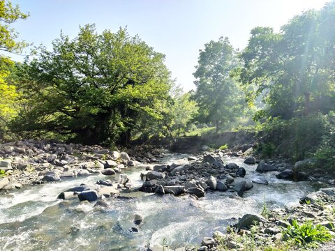 Beautiful nature scenery with green mountains and mountain river. Mountain river with rocks and green forest