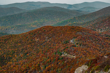 Views of Skyline Drive and the colorful fall foliage covering the Blue Ridge Mountain peaks from Stony Man Mountain in Shenandoah National Park, Virginia, USA.