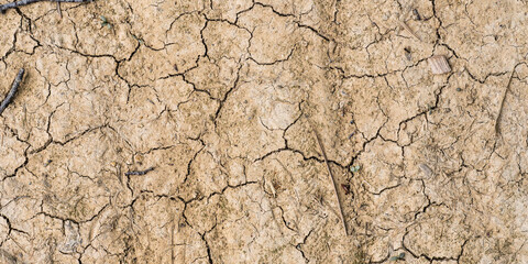 Top view of soil and dry earth texture - drought and heatwave - temperature rise due to climate change - lack of water - cracked earth