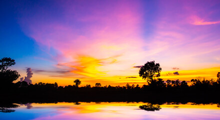 Panorama silhouette tree in africa with sunset.Amazing sunset and sunrise.