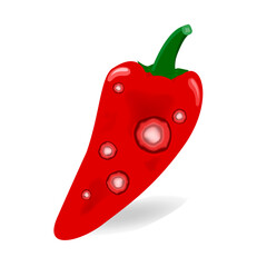 sweet Pepper fruit are damaged by Anthracnose (blight disease) or Colletotrichum Fungus. Pathogens cause to rot, black circular wound, sagged and wither. Design on white background