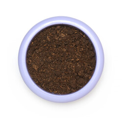 plant flower pot