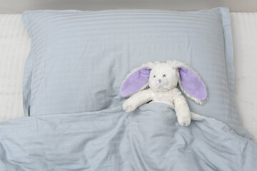A cute little rabbit with a long lilac ears sleeps in a comfort bed on a gray pillow, under a gray blanket on a white sheet. View from above.