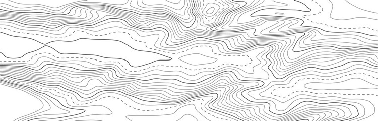 Contour topographic map. Geographic grid map background. Vector illustration.