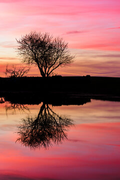Sonnenuntergang am See - Sundown Mood