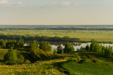 landscape with forest