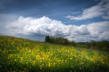 Heimat Niederbayern Landschaft mit Wolken