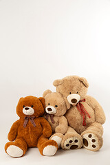 Tres ositos de peluche sentados sobre fondo blanco.