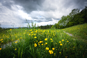 Heimat Niederbayern Landschaft mit Wolken