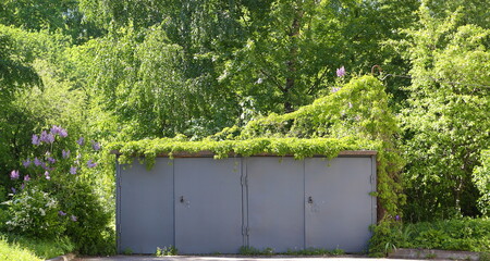 Two gray metal garages in a thicket of greenery