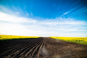 Beautiful landscape of blue sky over agricultural field