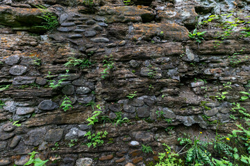 old stone texture, old stone wall, moss on rock, moss on stone, plants 