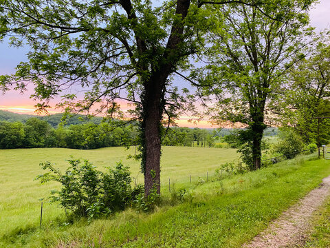 Sun setting over green valley