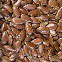 brown flax seeds close up