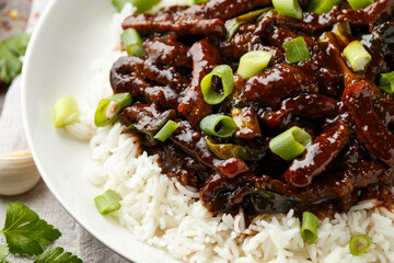 Mongolian beef stewed in dark soy sauce with spices. Asian style food