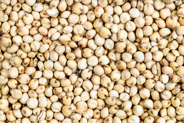 background - many raw unpolished Sorghum grains