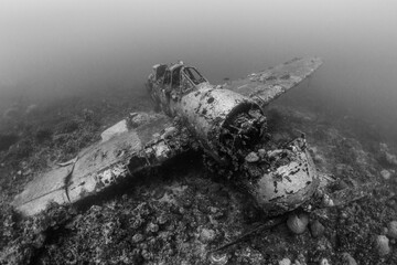Jake, Japanese World War II sea plane wreck - obrazy, fototapety, plakaty