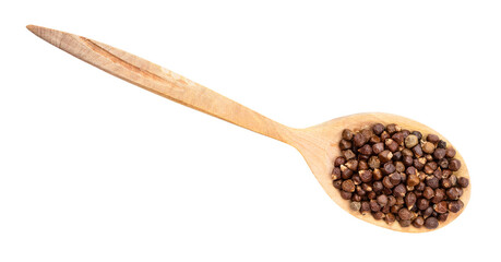 top view of grains of paradise pepper in spoon