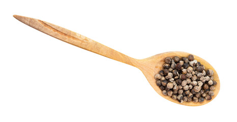 top view of monk's pepper (vitex) in wood spoon