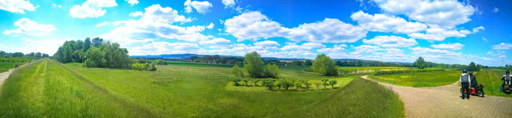 Fototapeta na wymiar Panoramabild einer grünen Wiese mit Bäumen und blauem Himmel und weißen Wolken.