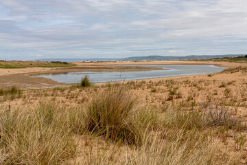 sand dunes and grass on the beach and clouds on the coast