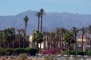 Streets, buildings,detales. Sharm El Sheikh, Egypt 