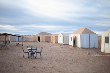 berber camp inendless expanses of the Sahara huge sand dunes at dawn of sunrise